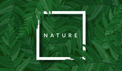 Nature frame with green fern leaves and white frame. Vector illustration with realistic leaf for fresh nature background, summer template or ECO design - 268857939