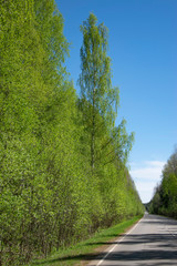 Spring, nature, spring forest, fields, lakes and rivers.