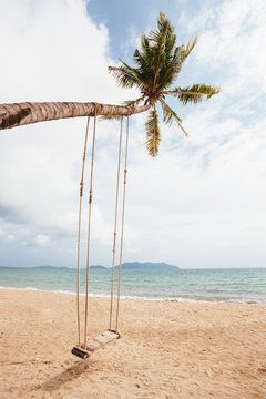 Swing on the beach hanging from a palm tree