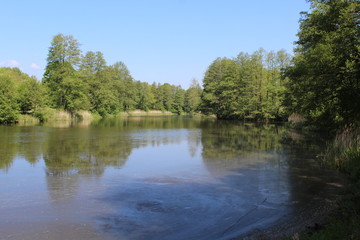 Fototapeta na wymiar Teichlandschaft