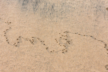 sand circle solid close view made by sea worms near sea beach.