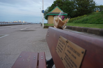 tulips on the memorable bench 