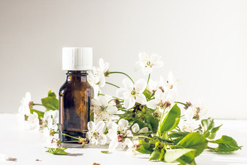 Dark glass bottle with white cap with essential oil against white flowers of apple and green leaves, gray background. Copy space.