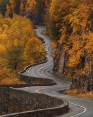 Fototapeta premium Autumn ROad