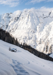 Fototapeta premium Landscape
