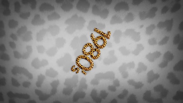 1980's eighties leopard print title logo animation with a spinning effect on a grey leopard print background