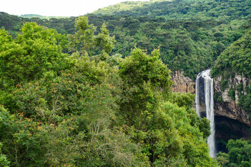 Caracol waterfall at Canela city, Rio Grande do Sul, Brazil                               