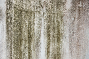 Cement and coccrete grunge texture