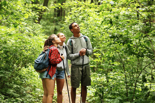 Portrait of young hikers in nature.They look around and joying  in nature.