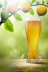 Fresh cold beer on wooden table. Branch of fresh lemons fruits and summer garden background 