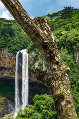  Trunk with defocused Caracol waterfall at Canela city, Rio Grande do Sul, Brazil                               