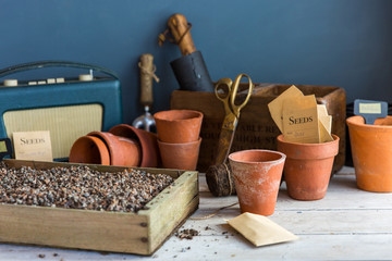 Seeds, seed trays, pots and gardening gear on the potting bench.