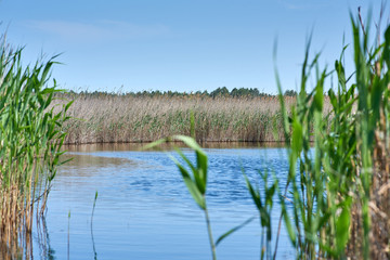 therapeutic lake with iodine and minerals in the middle of the wild steppe