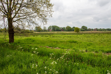 Dümmer See