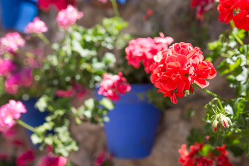 Wall plenty of attached blue flowerpots