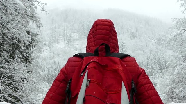 The girl looks at the beautiful winter landscape in the mountains. Red jacket and tourist backpack. Snowy trees in the forest. Active rest in the mountainous nature in winter.
