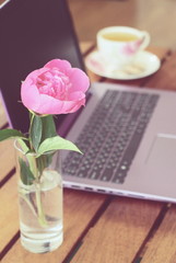  Fresh peony in May. Purple computer on a wooden table. White cup of herbal tea and a working laptop. Remote work for women.