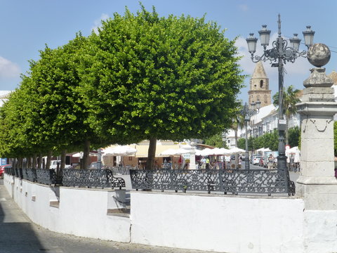 Medina Sidonia, village of Cadiz. Andalusia,Spain