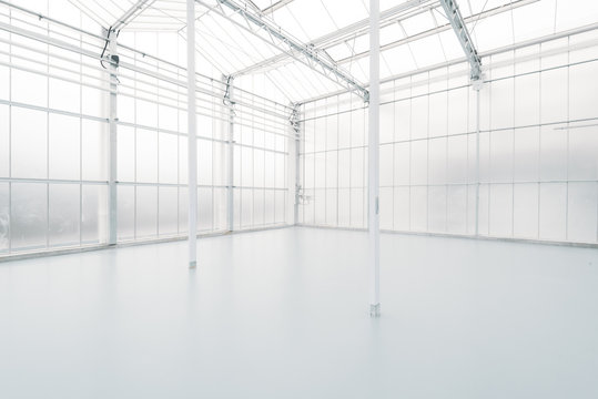 Empty greenhouse