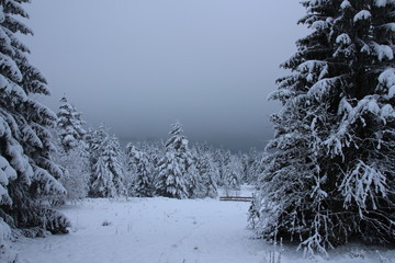 Winterlandschaft
