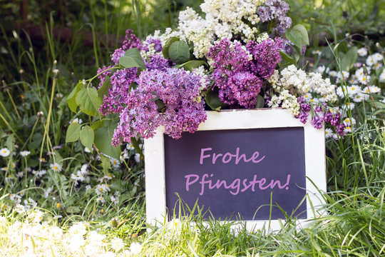 Tafel mit Text"Frohe Pfingsten" mit Flieder und Gänseblümchen im Garten