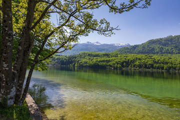 Lake Bohinj in Slovenia, beauty in nature. Colorful summer on the Bohinj lake in Triglav national park Slovenia, Alps, Europe. Mountain Lake bohinj in Julian Alps, Slovenia