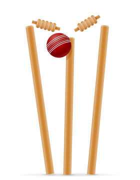 cricket gate and ball for a sports game stock vector illustration