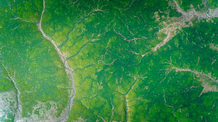 Aerial view of a marshes