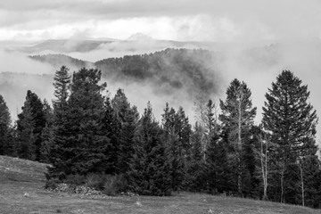 Fototapeta premium Clouds Forming in the Rockies