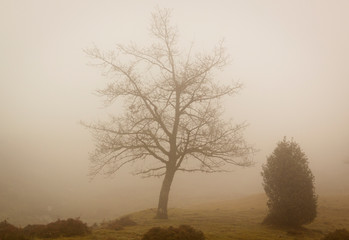 Mount Urkiola, Basque Country with Anboto mountain. Church, forest and walkers in the fog. Spain