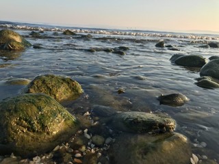 stones in the water