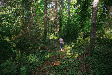 Healthy boy exploring nature in the woods