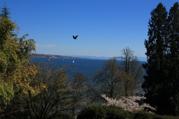 Bodensee