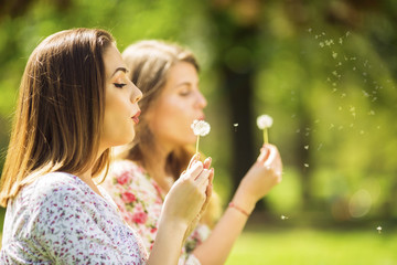 Fototapeta premium Two beautiful young women blowing dandelion