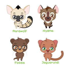 Set of animals belonging to the feliformia family