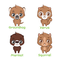 Set of squirrel animal species