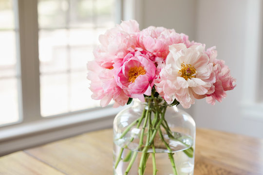 bouquet of pink peonies in a glass vase in a light filled room