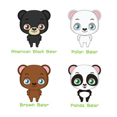 Set of bear species