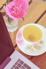  Fresh peony in May. Purple computer on a wooden table. White cup of herbal tea and a working laptop. Remote work for women.
