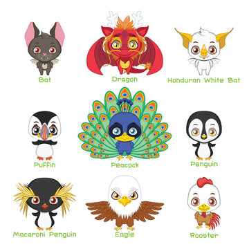 Set of various avian animals