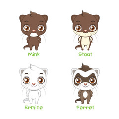 Set of polecat species