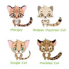 Set of various wild cat species