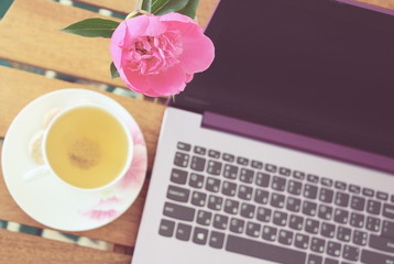  Fresh peony in May. Purple computer on a wooden table. White cup of herbal tea and a working laptop. Remote work for women.