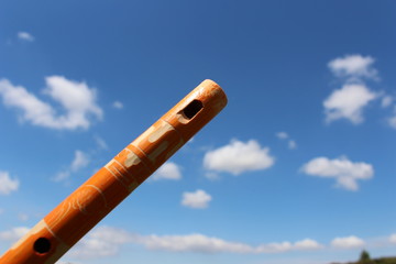 flute