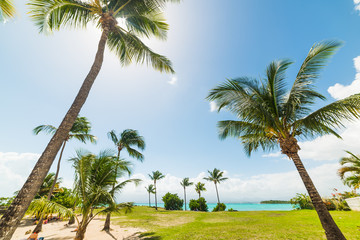 Bas du Fort shore in Guadeloupe under a shining sun