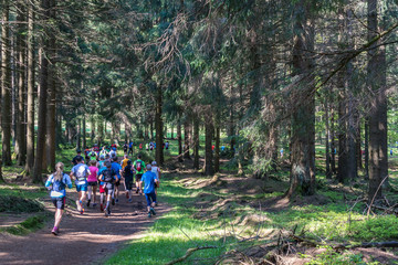 Group of athletes running through a forest 