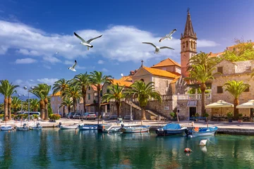 Poster Splitska village with beautiful port and seagull's flying over the village, Brac island, Croatia. Fishing boats in Splitska village on Brac island seafront view, Dalmatia, Croatia, Croatia. © daliu