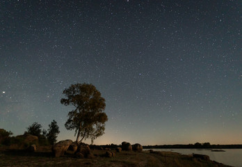 Night landscape with moonlight in the swamp of Valdesalor. Extremadura. Spain.