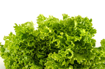Fototapeta premium bunch of green lettuce on a white background. Salad leaves. Close-up.