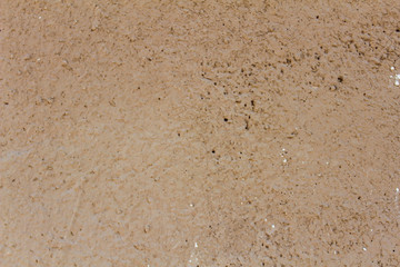 Cement Wall Detail